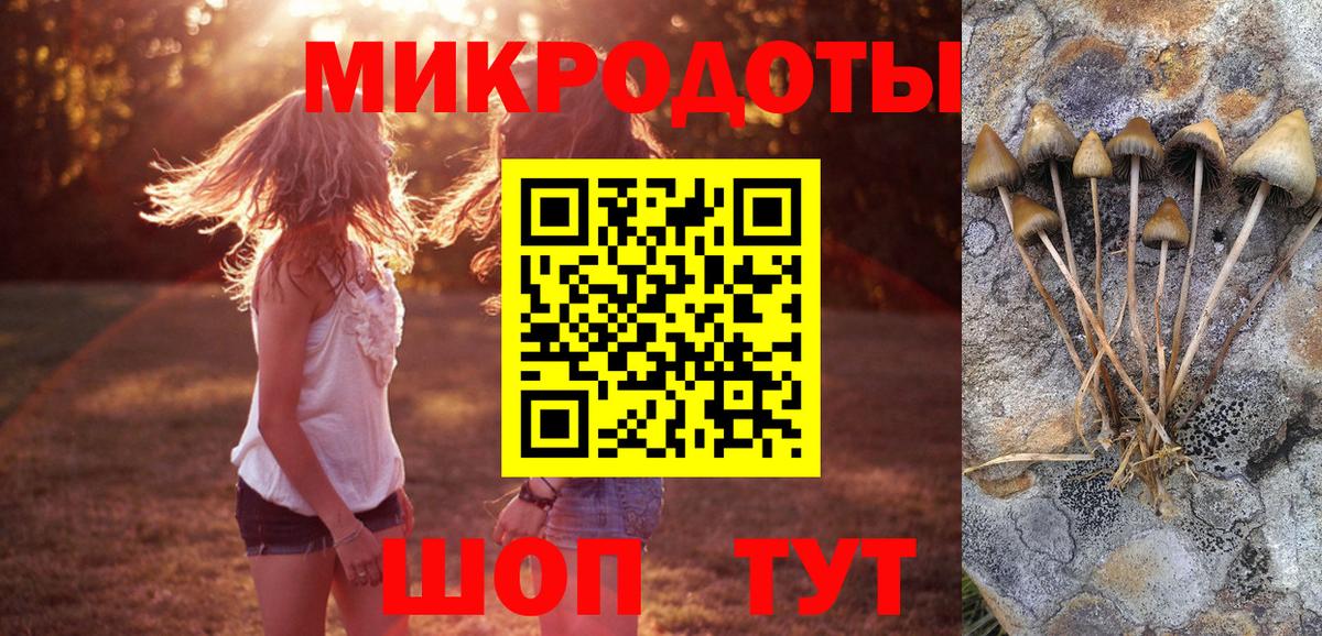 Псилоцибиновые грибы прущие грибы  Вход с VPN  Баксан 